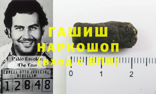 индика Бородино