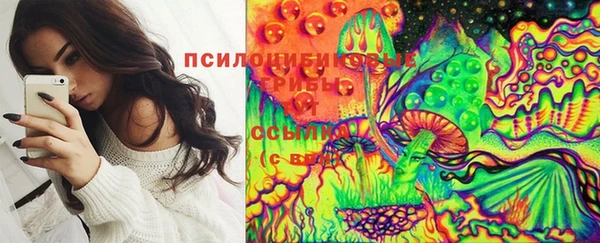 индика Бородино