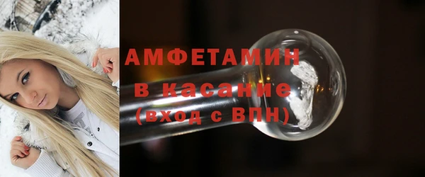 индика Бородино
