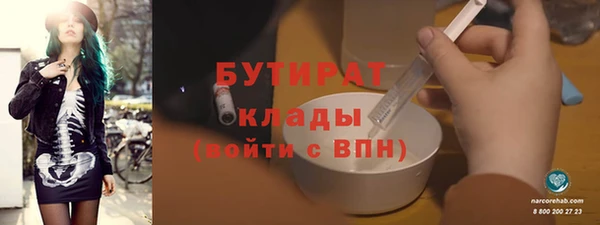 индика Бородино