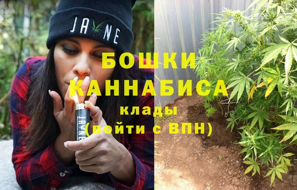стаф Богородск
