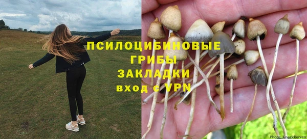 гидропоника Богданович