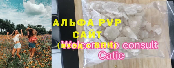 индика Бородино