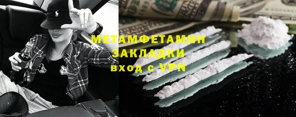 индика Бородино